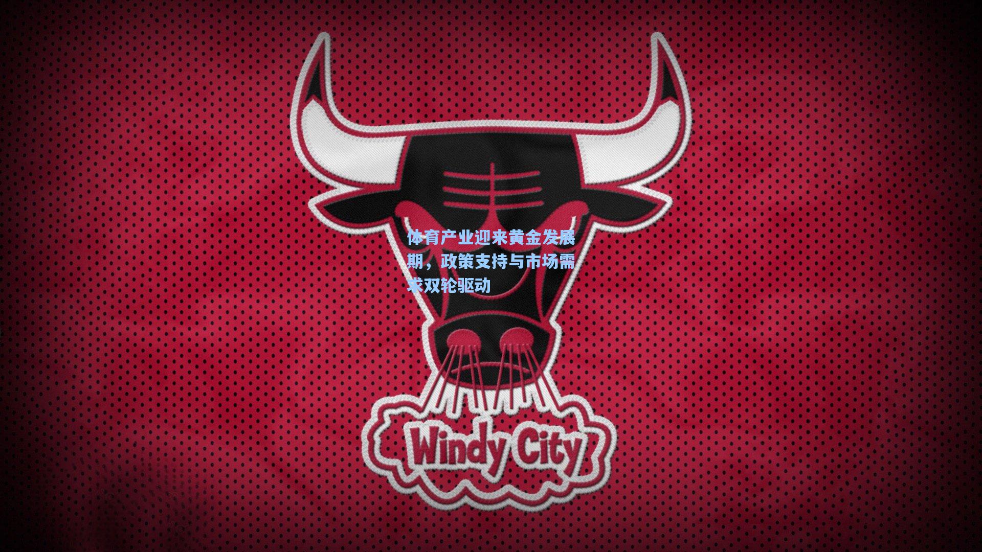 体育产业迎来黄金发展期，政策支持与市场需求双轮驱动