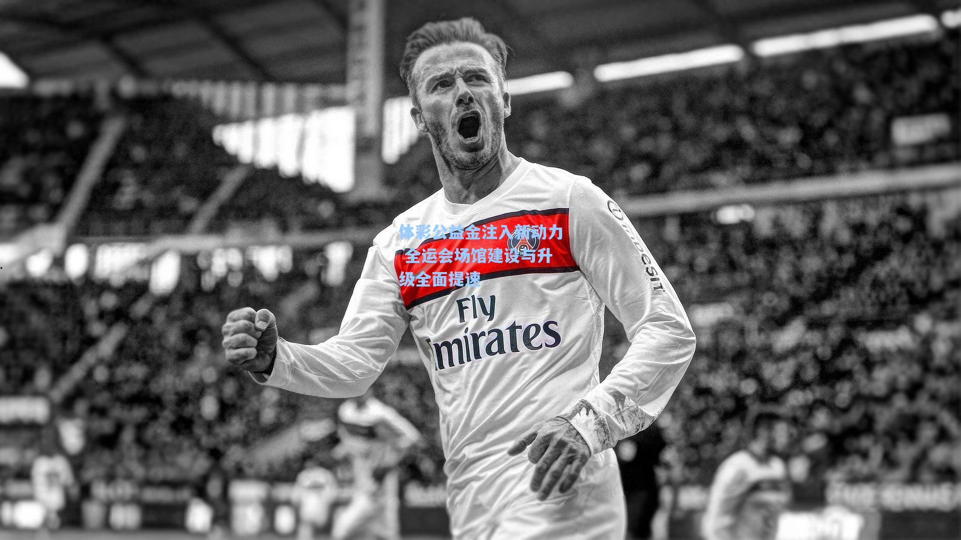 体彩公益金注入新动力 全运会场馆建设与升级全面提速