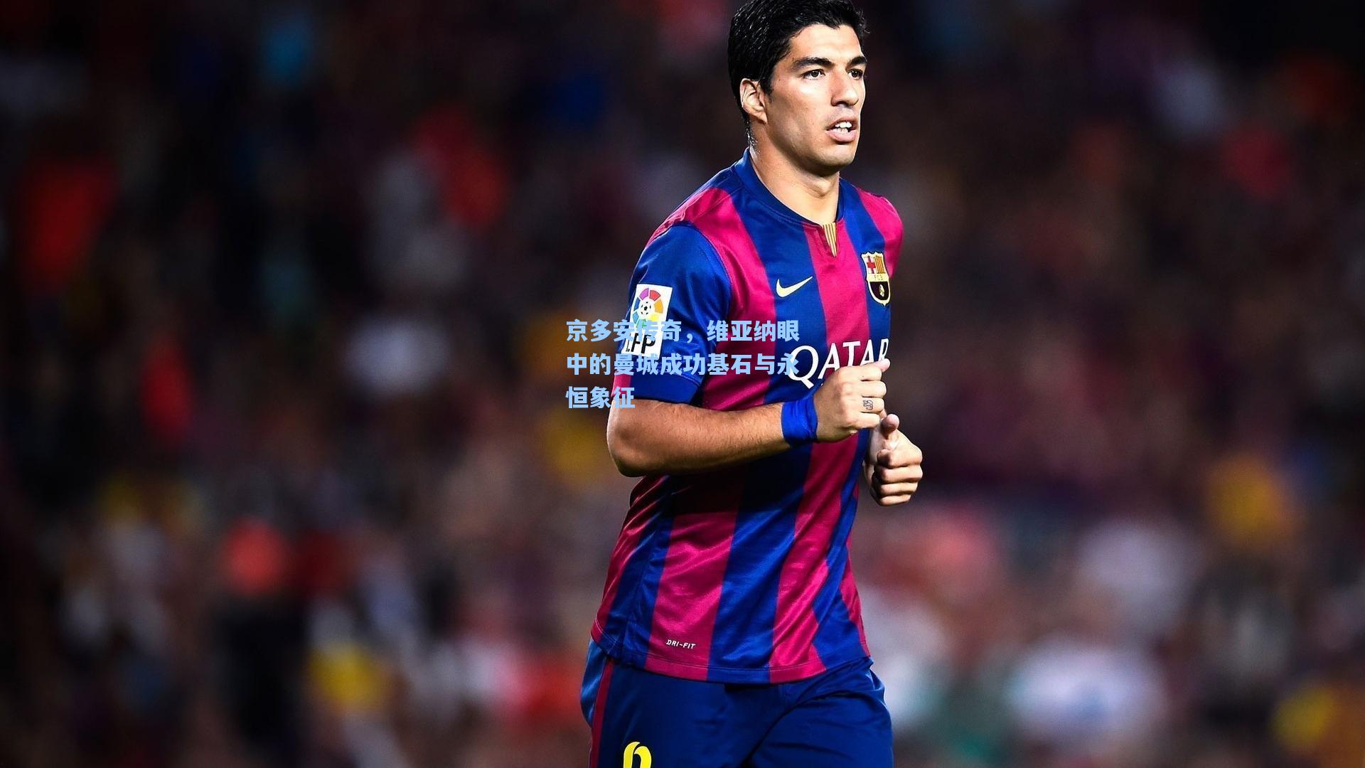 京多安传奇，维亚纳眼中的曼城成功基石与永恒象征